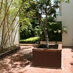 San Diego 974 Suites