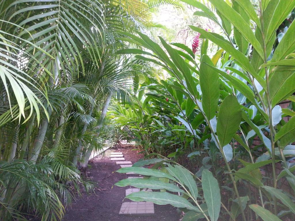 San Diego 974 Cartagena